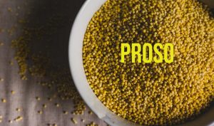 proso za bubrege