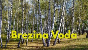 brezina voda-breze