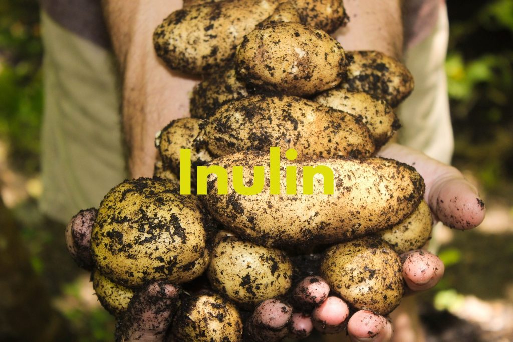 inulin