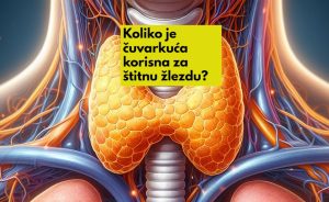 čuvarkuća za štitnu žlezdu