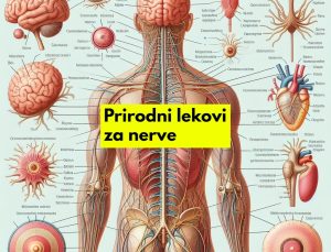 prirodni lekovi za oštećene nerve