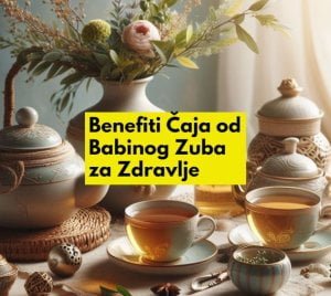 čaj babin zub