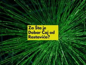 čaj od rastavića
