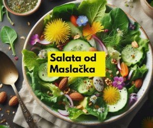 salata od maslačka