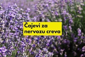 čajevi za nervozu creva