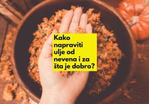 kako napraviti ulje od nevena i koji su njegovi benefiti