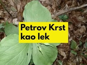 petrov krst kao lek