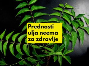 ulje neem za zdravlje kože i kose i domaćinstvo