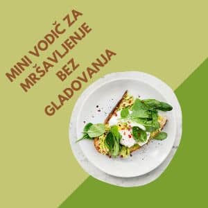mini vodič za mršavljenje bez gladovanja besplatna knjiga