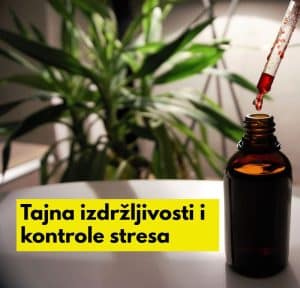 rhodiola rosea- zlatni koren prirodni lek za regulisanje stresa i bolju izdržljivost