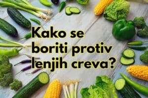 kako se boriti protiv lenjih creva prirodno