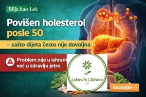 povišen holesterol posle 50-zašto dijeta nije dovoljna?